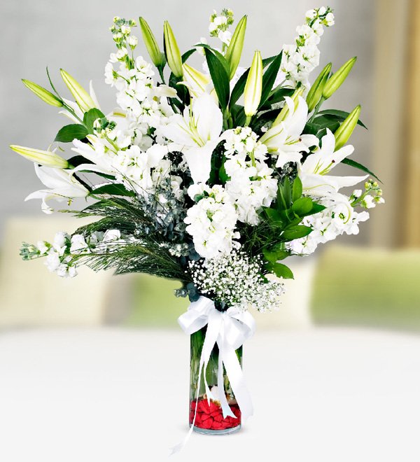 Beyaz Lilyum ve Şebboy